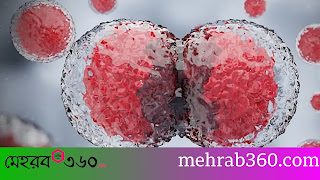 কোষ কীভাবে নিজের কাজ ও অবস্থান নির্ধারণ করে?