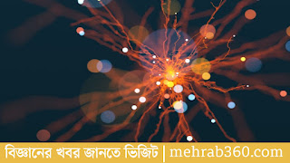 হাইজেনবার্গের অনিশ্চয়তা নীতি লঙ্ঘন না করেই কণার ভরবেগ, অবস্থান পরিমাপ করেছেন বিজ্ঞানীরা