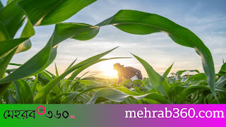 যে দেশ নিজের প্রয়োজনীয় সব খাদ্য নিজেই উৎপাদন করতে সক্ষম